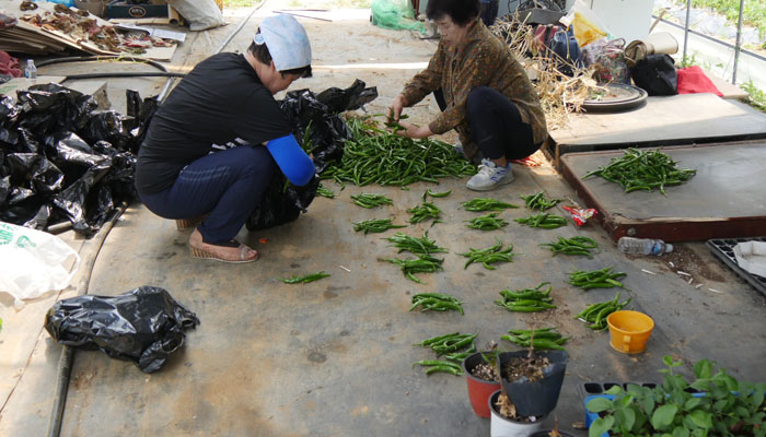 p1120569.JPG