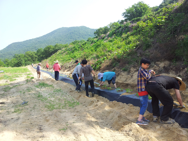 20140531_091608.jpg